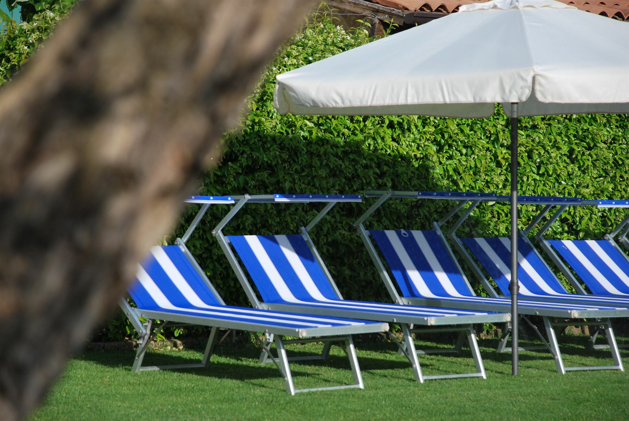 Bed and Breakfast La Tinassara Lazise Exterior foto